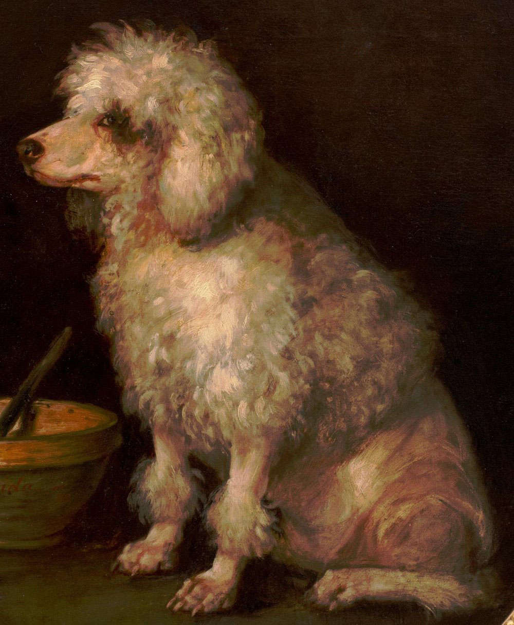 History of the Poodle