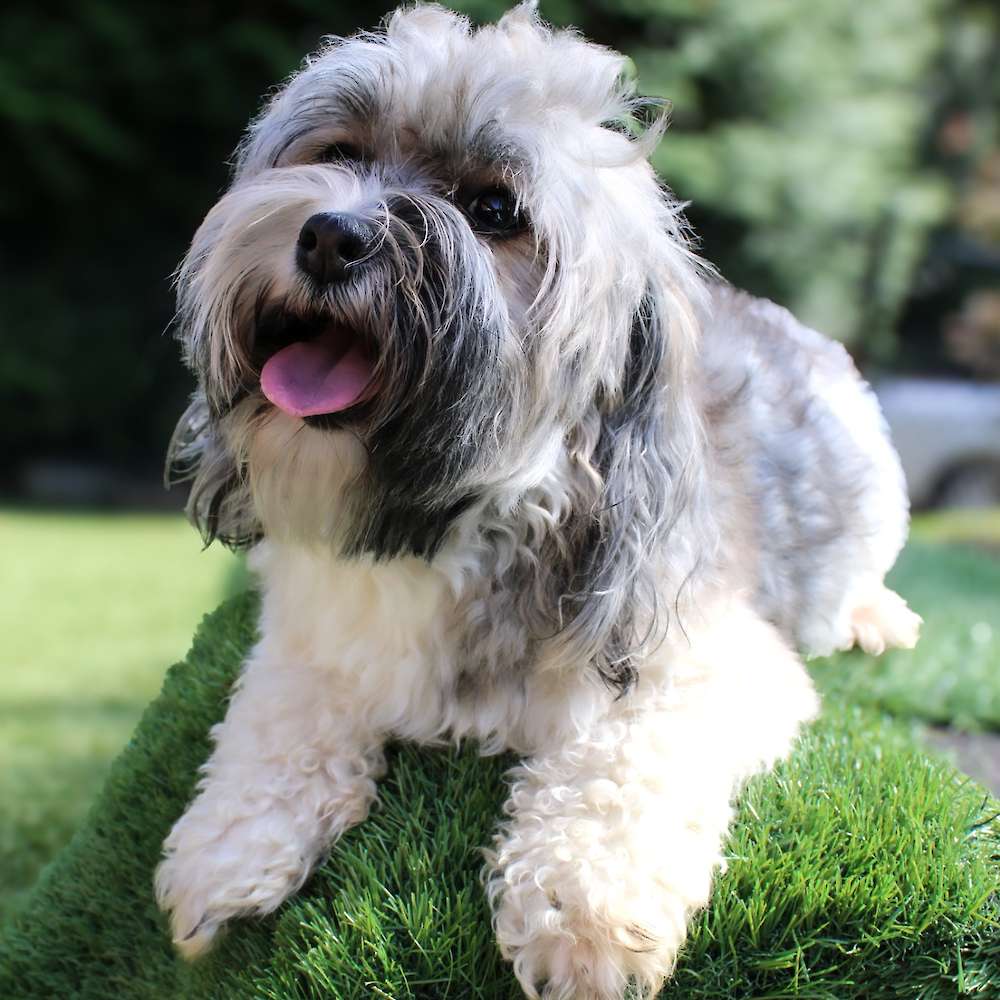 Gabby of Grayfinn House