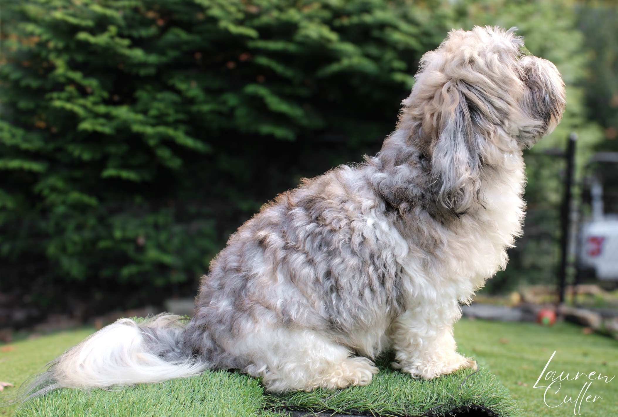 Gabby of Grayfinn House